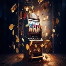 66jin88